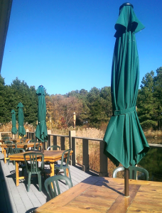 The deck behind the Education Building, overlooking a pond