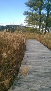 Chesapeake Bay Environmental Center outdoor hiking trail