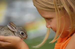 little girl holding rabbit