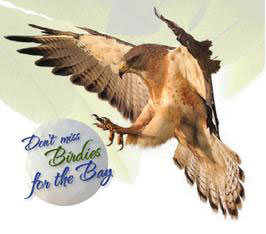 Birdies for the Bay logo