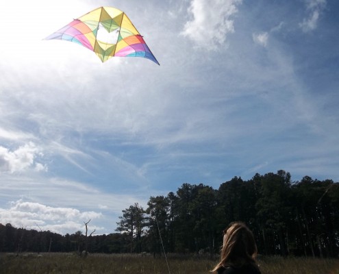 Alpine DC kite