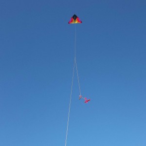 collecting data with kite and Aeropod