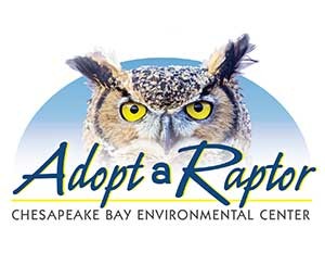 Adopt a Raptor logo