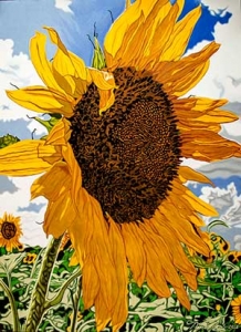 “Rays for Days" sunflower painting