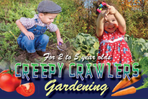 creepy-crawlers-garden