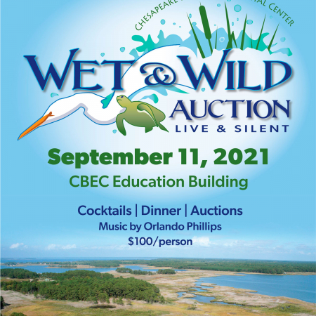 Wet & Wild Action 2021 Poster