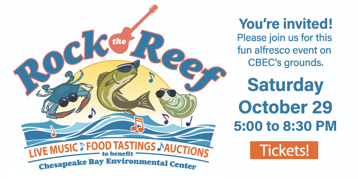 Rock the Reef Auction