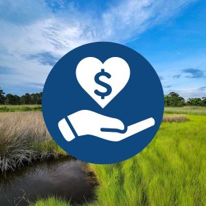Donation Add-on at Checkout - $25