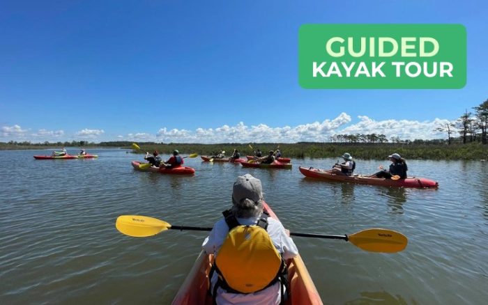 Guided Kayak Tour - October 18, 2025