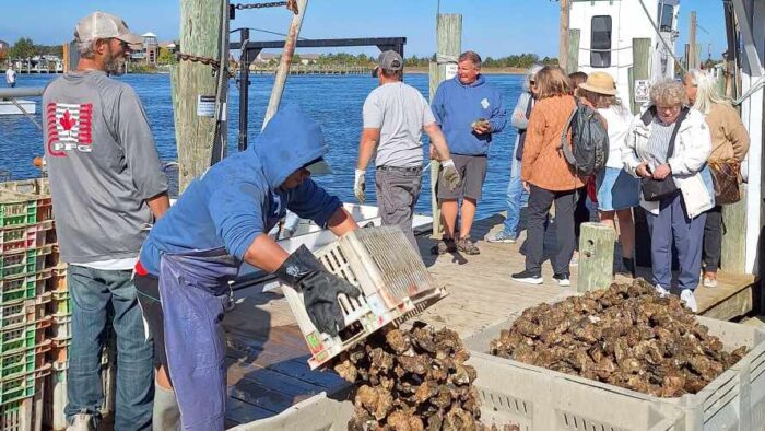 CBEC’s Aquatic Life:  Oysters A to Z